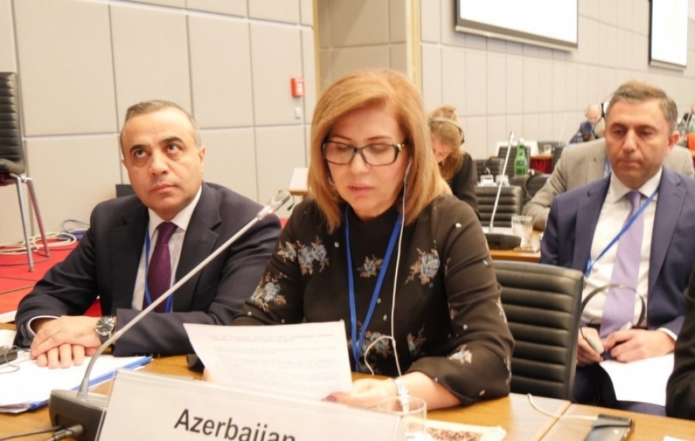 ATƏT sənədlərində Dağlıq Qarabağın azərbaycanlı və erməni icmaları münaqişə tərəfləri deyil, yalnız maraqlı tərəflər kimi müəyyən edilir VİDEO