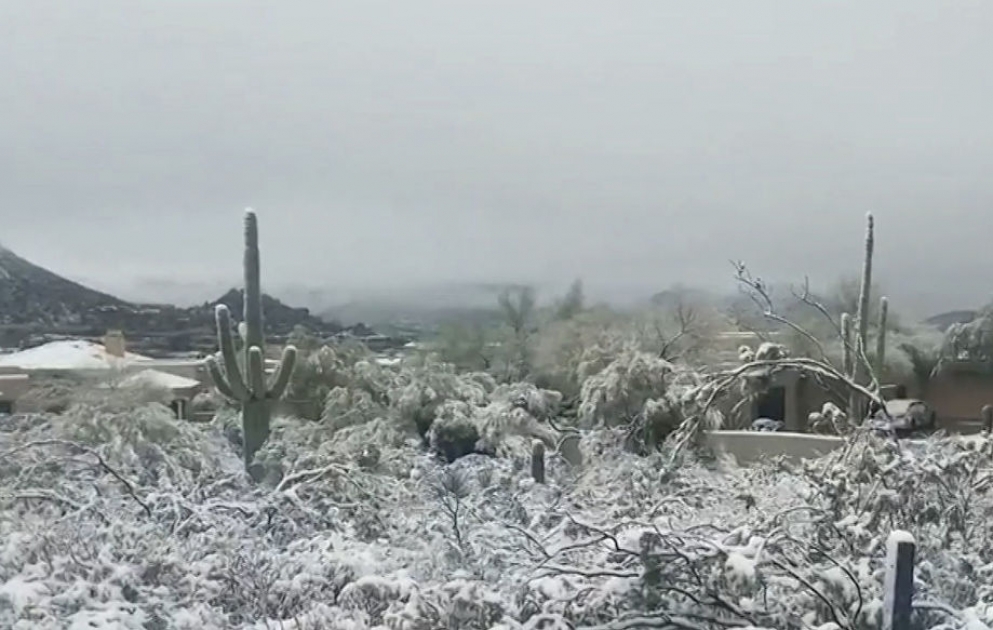 ABŞ-ın Arizona ştatına son bir əsrin ən güclü qarı yağıb VİDEO