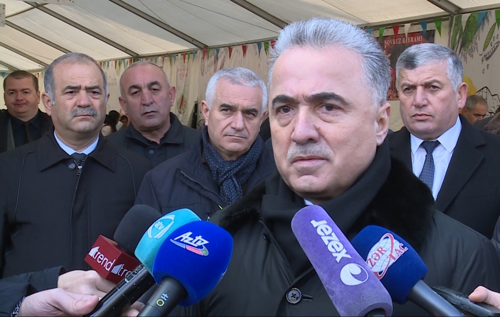 Зейнал Нагдалиев: За счет местного производства сократился импорт некоторых товаров ВИДЕО