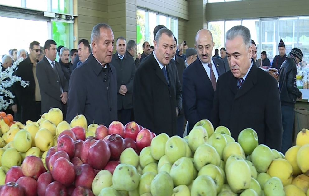Novruz yarmarkalarında qiymətlər bazarlarla müqayisədə dəfələrlə ucuzdur VİDEO