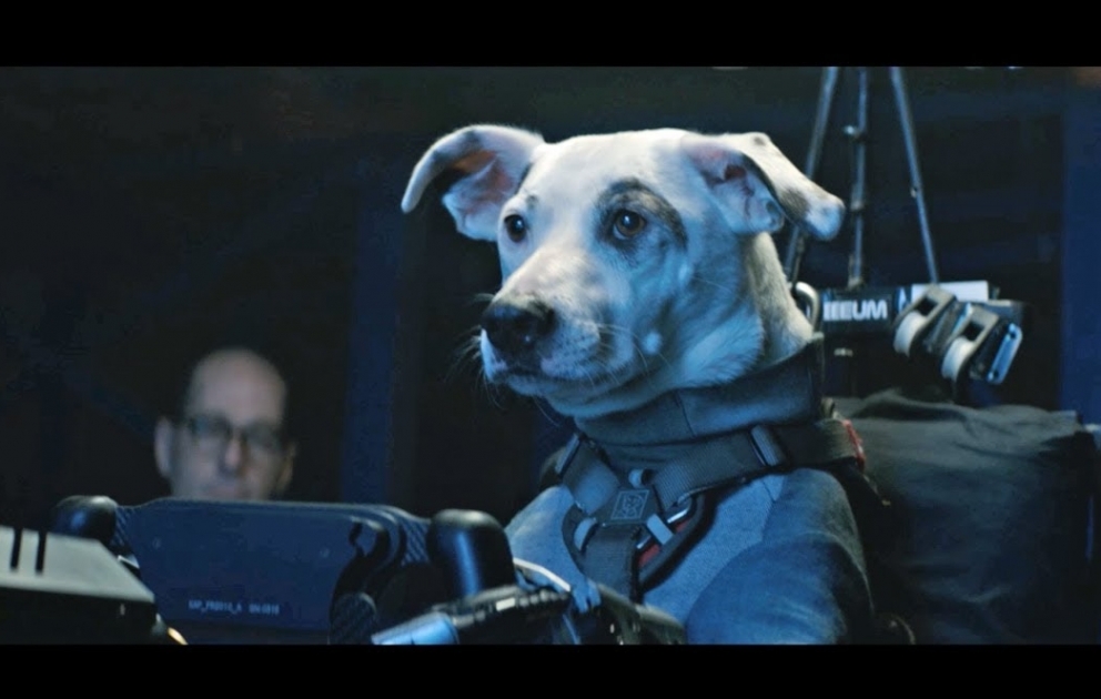 F1 and Chemical Brothers create 'fastest remix of all time' for 2019 season VIDEO