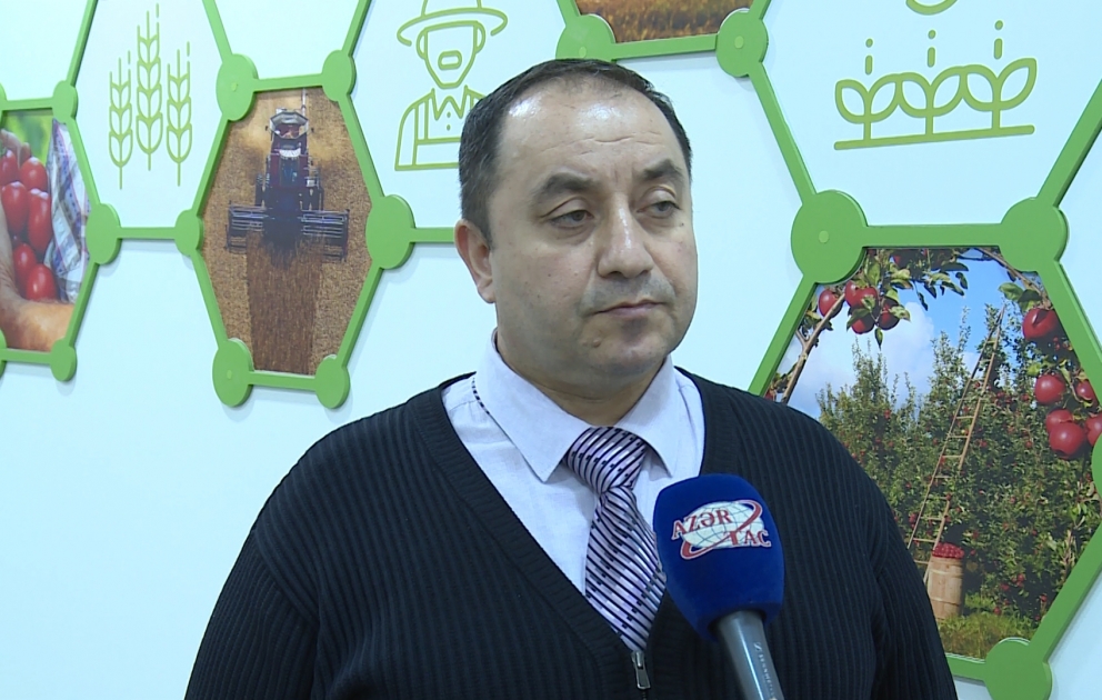 Eldar Quliyev: Ölkəmizdə meyvə məhsullarına olan tələbat əsasən yerli istehsal hesabına ödənir VİDEO