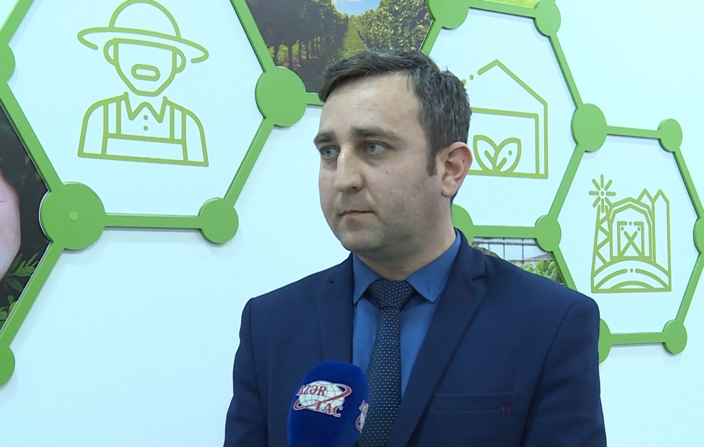 Elşad Rzayev: Hazırda ölkəmizdə heyvandarlıqda kəmiyyətdən keyfiyyətə doğru keçid prosesi gedir VİDEO