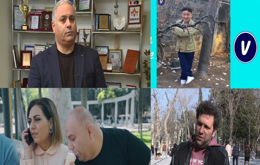 “Vayn” incəsənətdir yoxsa, biznes? VİDEO