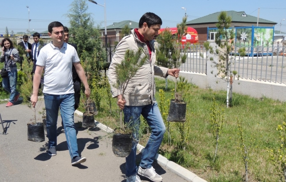 YAP Səbail rayon təşkilatı Cocuq Mərcanlıda növbəti humanitar-sosial aksiya keçirib VİDEO