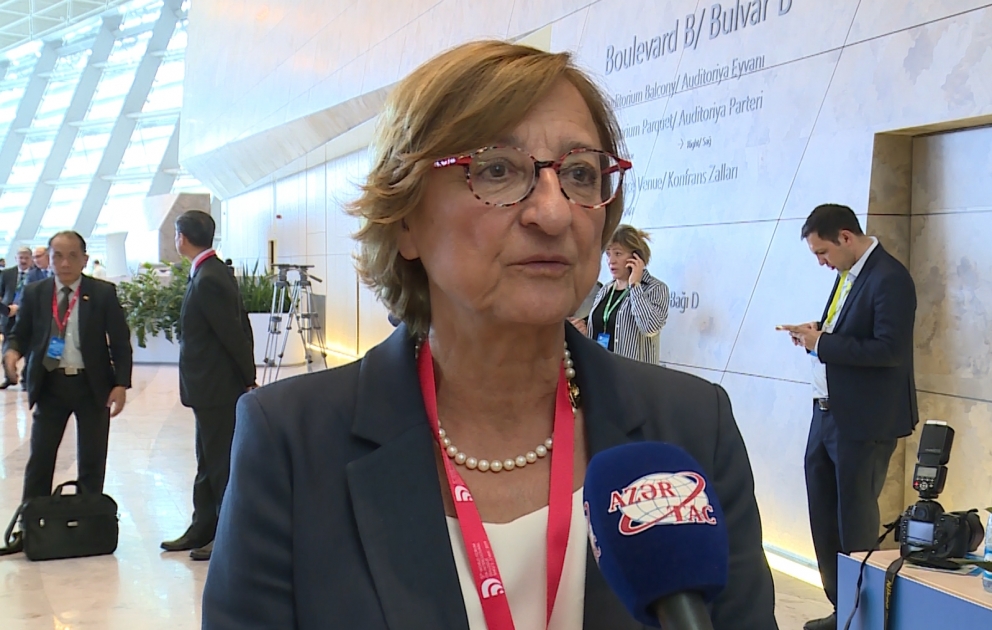 “Bakı Prosesi” mədəniyyətlərarası dialoq sahəsində təcrübəni bölüşmək üçün əvəzsiz platformadır VİDEO
