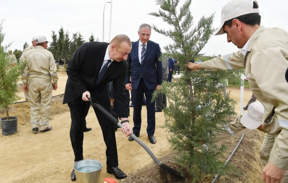 Prezident İlham Əliyev ulu öndər Heydər Əliyevin doğum gününə həsr olunan ağacəkmə aksiyasında iştirak edib  YENİLƏNİB VİDEO