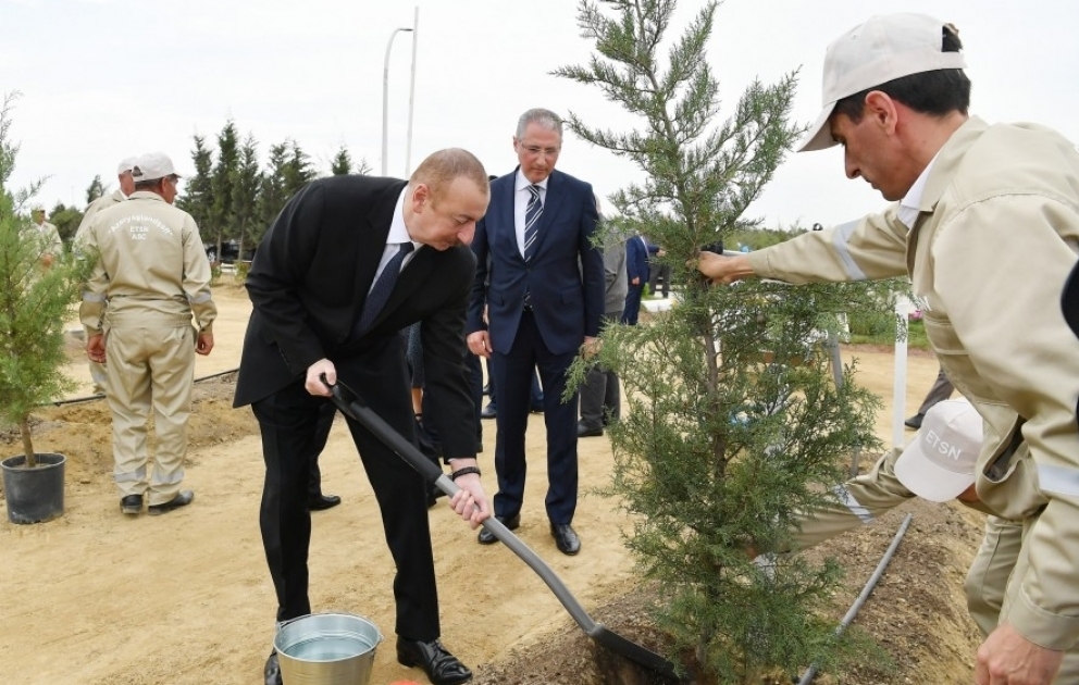 Президент Ильхам Алиев принял участие в акции по посадке деревьев, посвященной дню рождения великого лидера Гейдара Алиева  ОБНОВЛЕНО ВИДЕО
