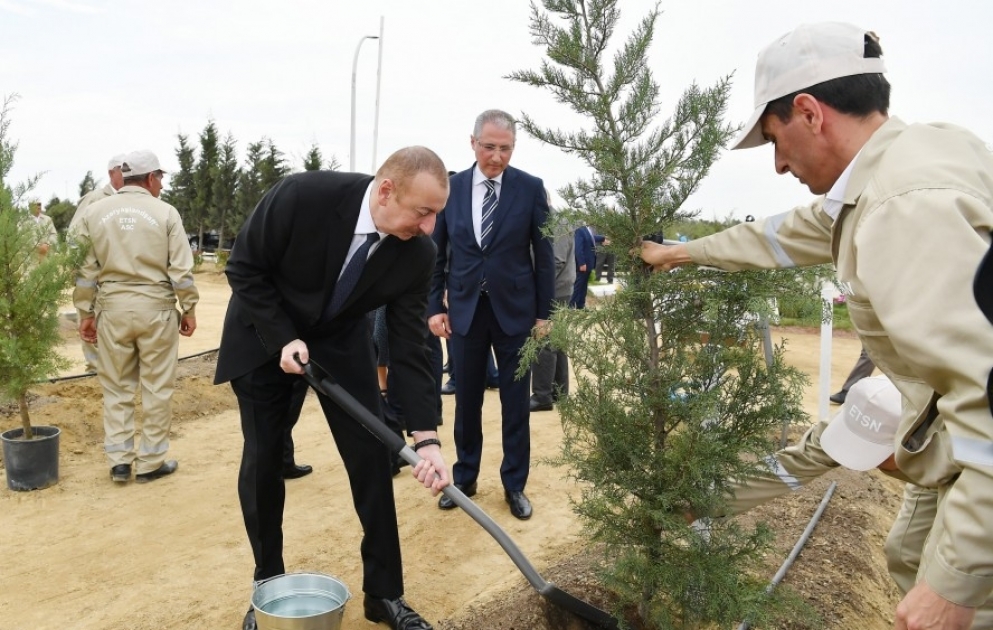 Präsident Ilham Aliyev nimmt an der Aktion für Baumpflanzung VIDEO