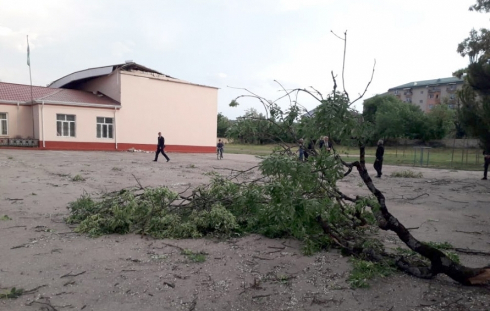 Qusara elektrik enerjisinin verilməsi tam bərpa olunub VİDEO