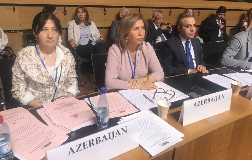 Milli Məclisin nümayəndə heyəti ATƏT Parlament Assambleyasının illik sessiyasının işində iştirak edir VİDEO