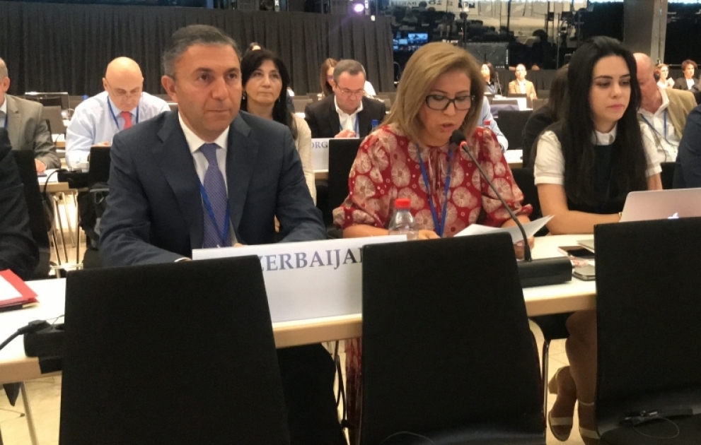 ATƏT PA-nın iclasında Milli Məclisin vitse-spikeri Bahar Muradova erməni nümayəndə heyətinin taktikasını ifşa edib VİDEO