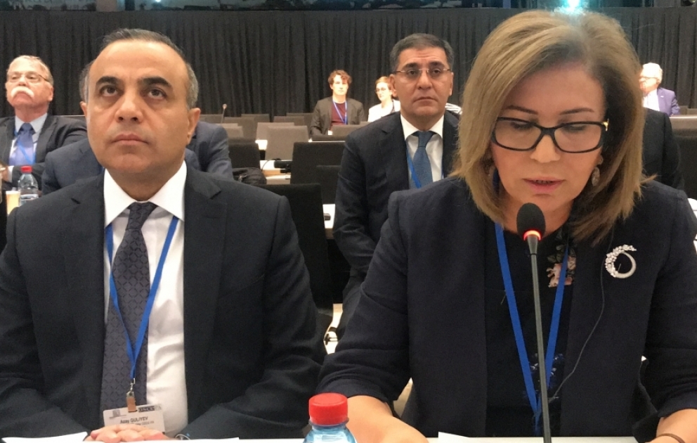 Milli Məclisin vitse-spikeri ATƏT PA-nın yekun plenar iclasında çıxış edib VİDEO