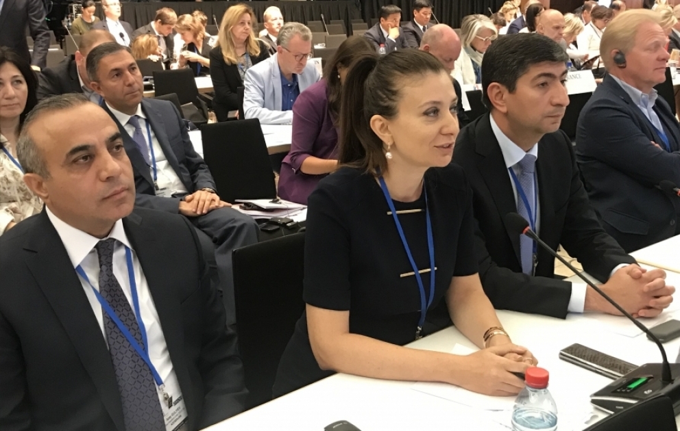 Deputat Ülviyyə Ağayeva ATƏT PA-nın plenar iclasında Ermənistanın humanitar hüquq normalarına zidd hərəkətlərini diqqətə çatdırıb VİDEO