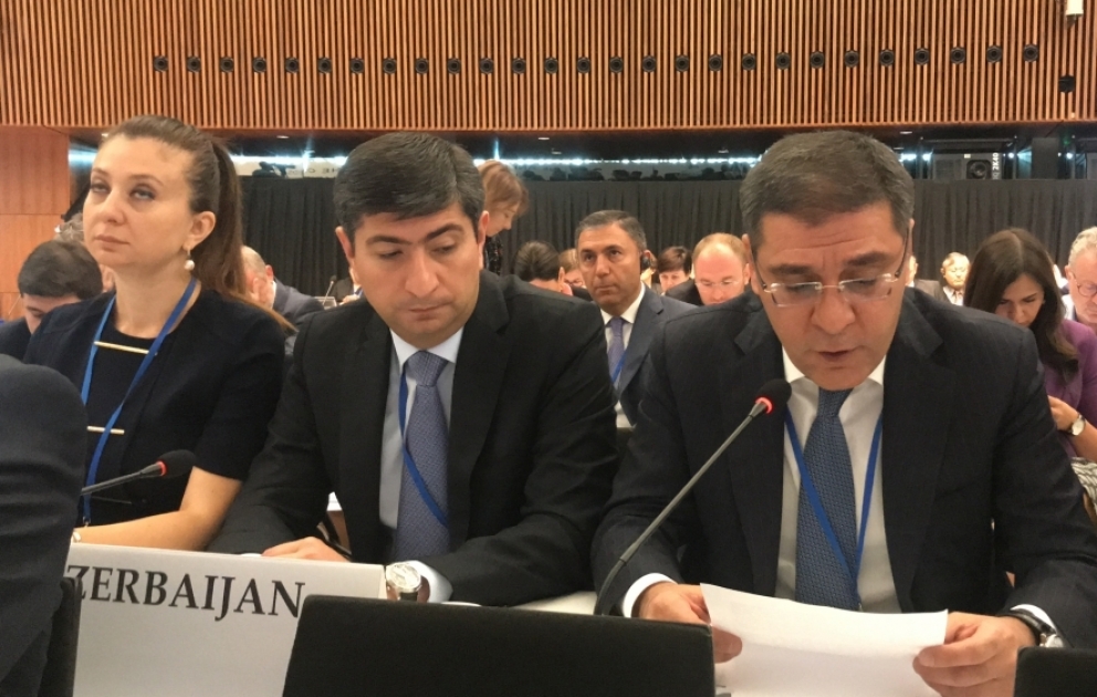 Кямран Набизаде на сессии ПА ОБСЕ: Второе армянское государство на Кавказе невозможно ВИДЕО