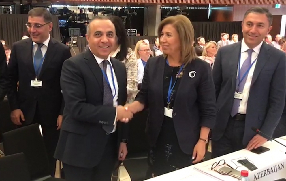 Azay Quliyev yenidən və yekdilliklə ATƏT PA-nın 2022-ci ilədək vitse-prezidenti seçilib VİDEO