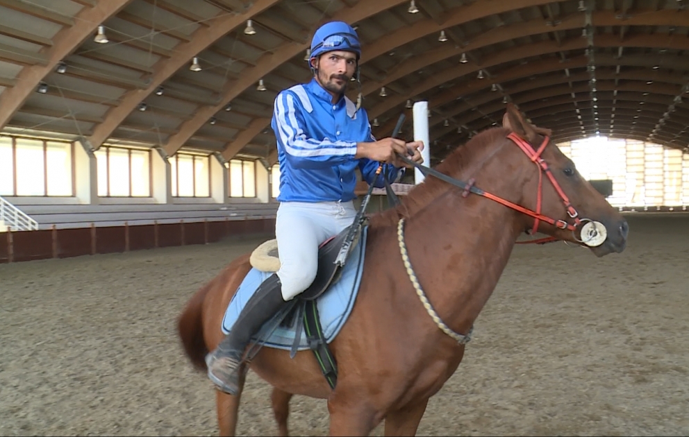Qarabağ atları əvvəlki tək meydandadır VİDEO