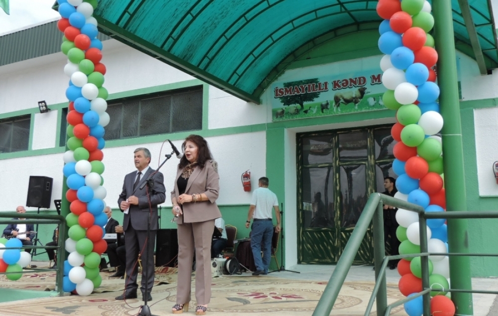İsmayıllıda Yaşıl Ticarət Mərkəzi açılıb VİDEO