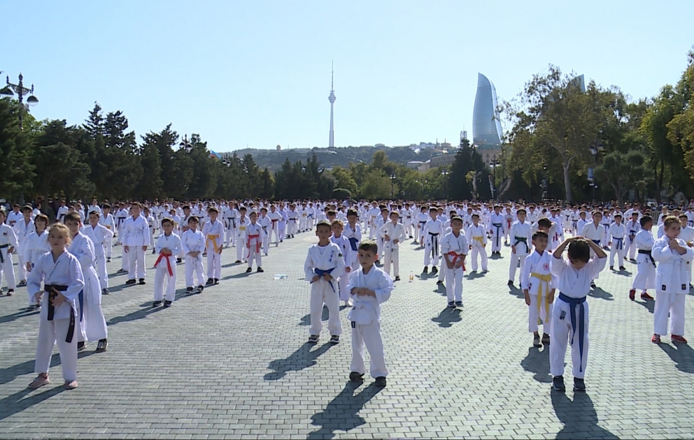 Dənizkənarı Milli Parkda açıq karate seminarı təşkil olunub VİDEO
