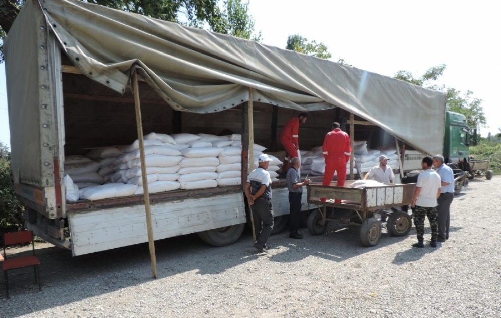 Xaçmazlı fermerlərə güzəştli şərtlərlə 60 tonadək mineral gübrə satılıb VİDEO