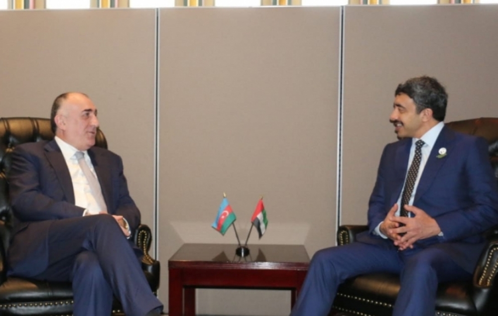 Azerbaijan, UAE discuss prospects for developing relations VIDEO