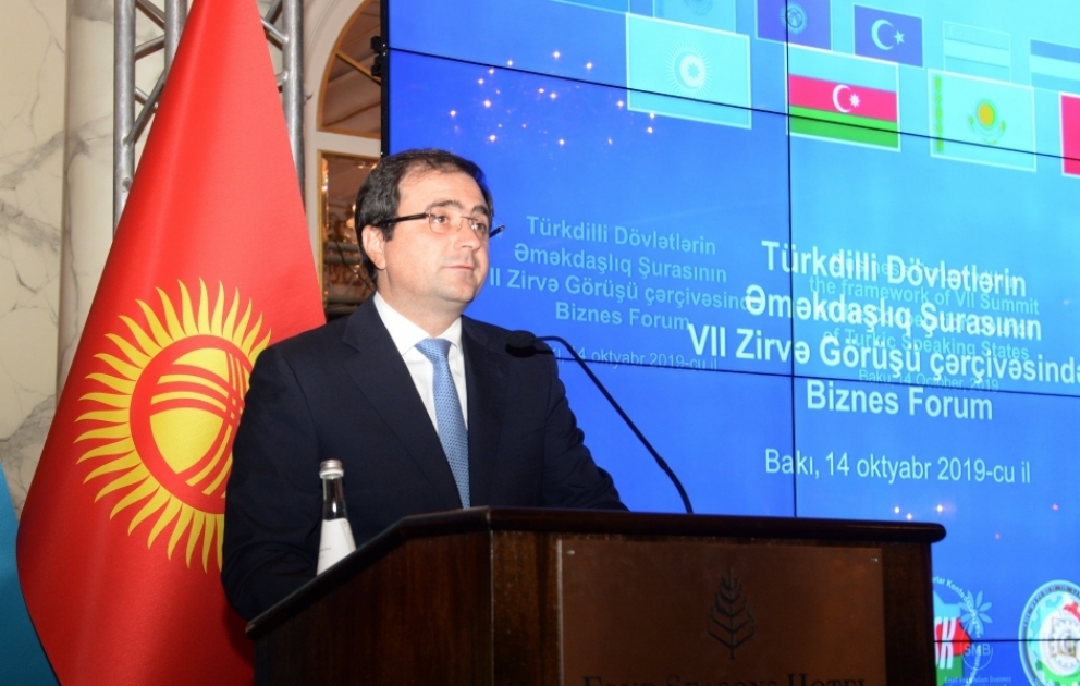 Azərbaycan Türkdilli Dövlətlərin Əməkdaşlıq Şurasına üzv ölkələrin iqtisadiyyatına 15,3 milyard dollar investisiya yatırıb VİDEO