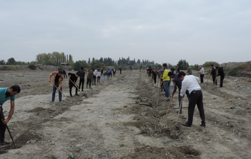 650 min ağac əkək: Ağdaşda ağac əkiləcək ərazilər müəyyənləşdirilib, çalalar qazılır VİDEO
