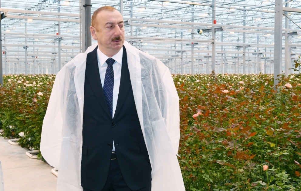 President Ilham Aliyev viewed floricultural greenhouse in Gabala VIDEO
