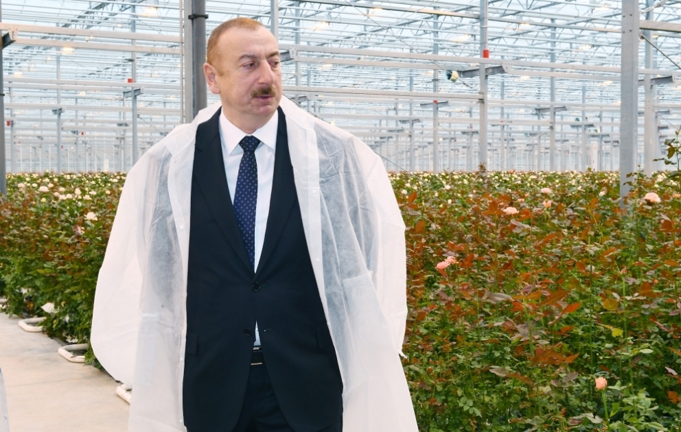 Präsident Ilham Aliyev besucht Blumengewächshaus in Gabala VIDEO