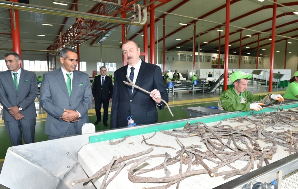 Aghdach : inauguration d’un parc industriel de réglisse VIDEO