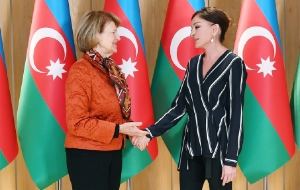 First Vice-President Mehriban Aliyeva met with UK Prime Minister's Trade Envoy to Azerbaijan VIDEO