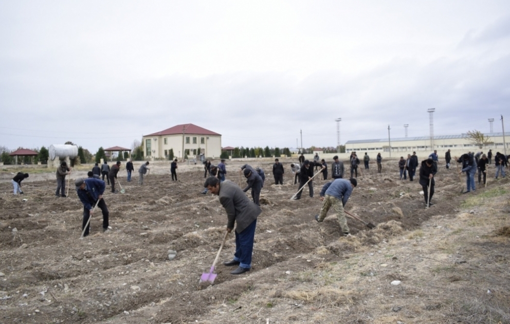 650 min ağac əkək: Füzuli rayonunda ağac əkiləcək ərazilər müəyyənləşdirilib FOTO VİDEO