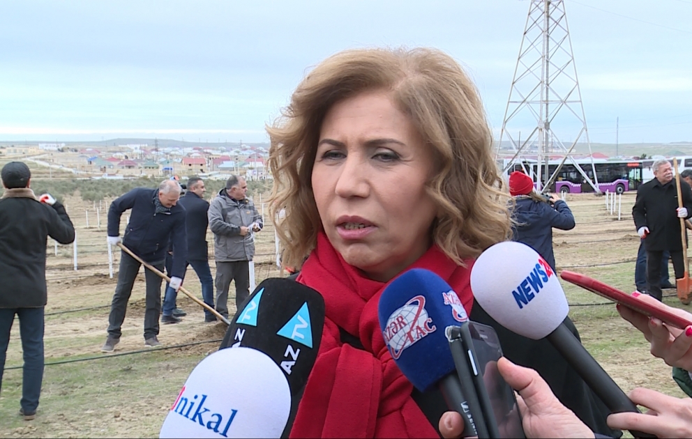 Bahar Muradova: Bu təşəbbüs torpağımızın yaşıllaşmasına, ekologiyanın sağlamlaşmasına çox böyük töhfədir VİDEO