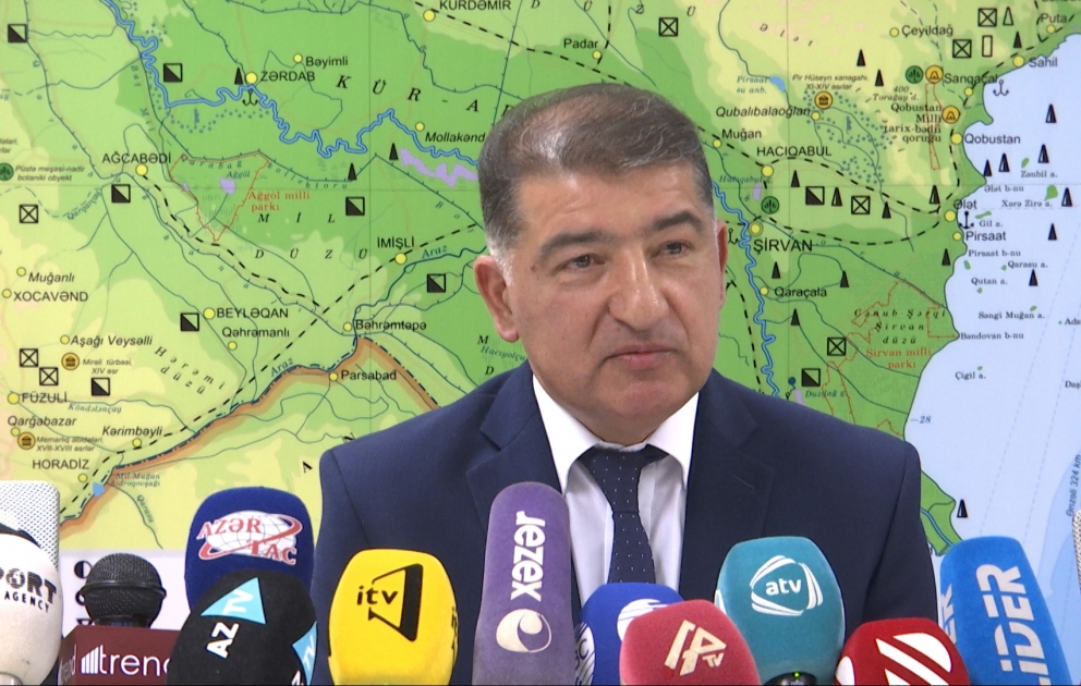 Stellvertretender Umweltminister: Bei heutiger Aktion mehr als 650.000 Bäume gepflanzt VIDEO
