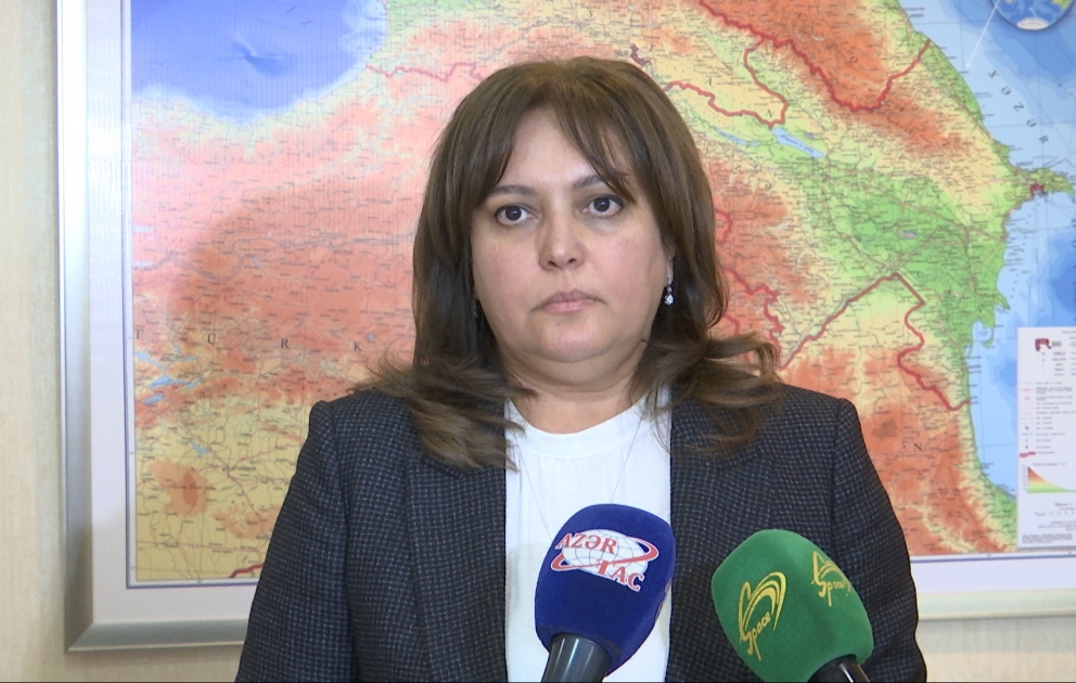 Умайра Тагиева: 24 декабря температура воздуха превысила климатическую норму на 6,2 градуса ВИДЕО