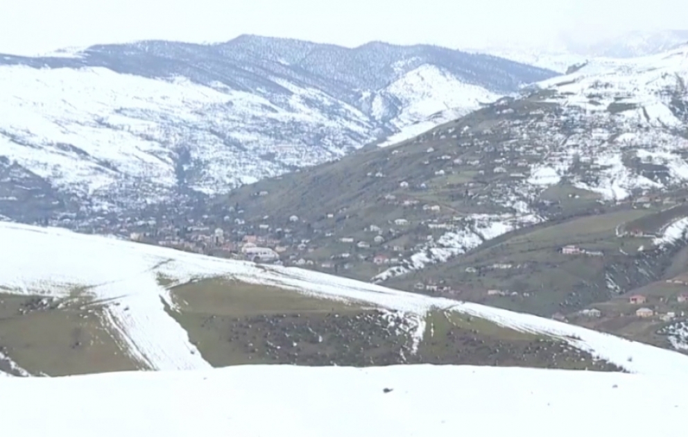 Qarlı və şaxtalı hava kənd təsərrüfatı üçün çox əlverişlidir – Yardımlıdan reportaj VİDEO