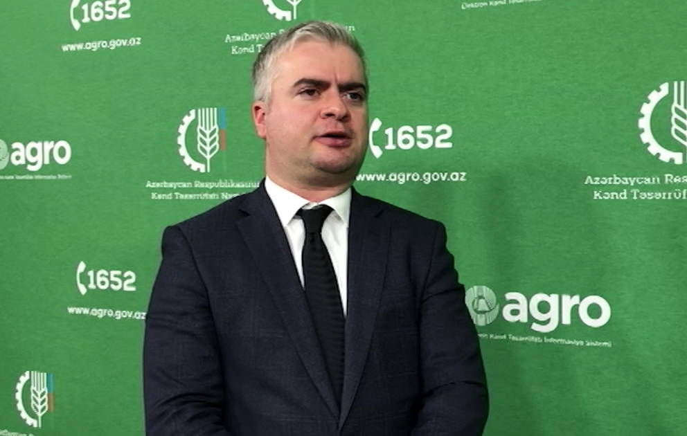 AKİA sədri: Yeni mexanizm fermerlərə 15 min manatadək girovsuz kredit verilməsinə imkan yaradır VİDEO