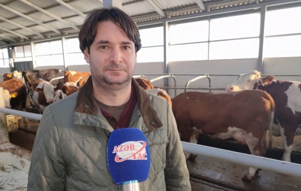 Livanda doğulan Fransa vətəndaşı Şamaxının Kələxana kəndində təsərrüfat yaradıb FOTO VİDEO