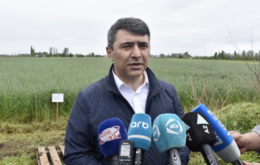 İnam Kərimov: Ərzaq məhsullarının daşınmasında heç bir problem yoxdur VİDEO