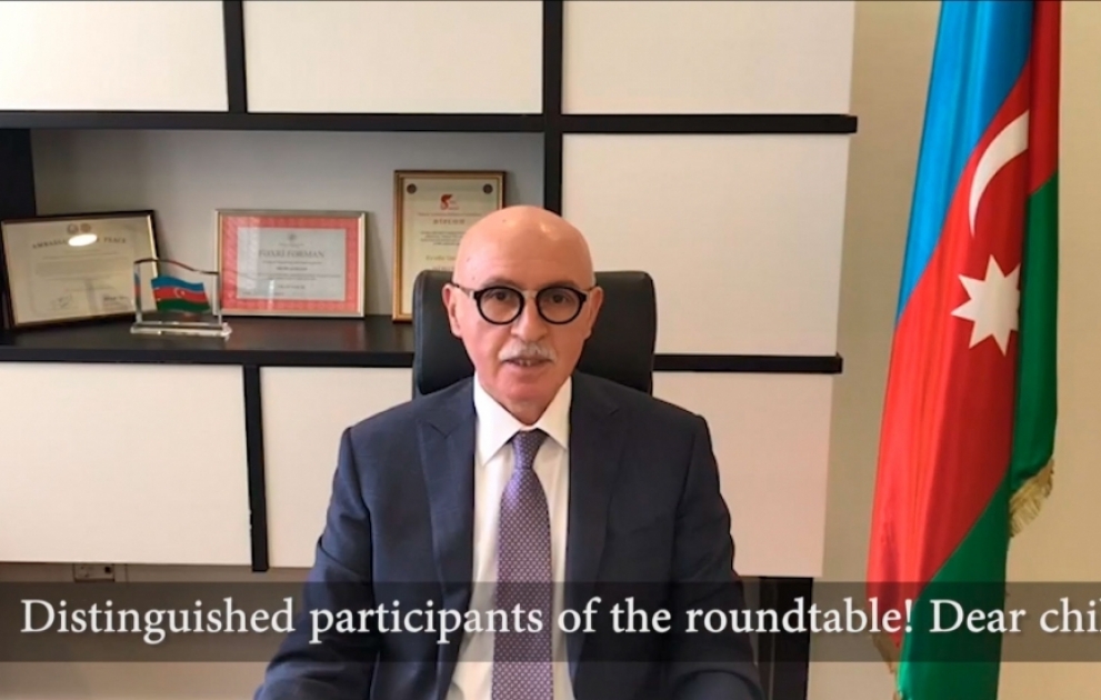 “Biz birlikdə güclüyük!” adlı beynəlxalq onlayn dəyirmi masa keçirilib VİDEO