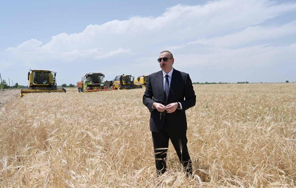 President Ilham Aliyev attended ceremony to start grain harvesting in Aghjabadi VIDEO