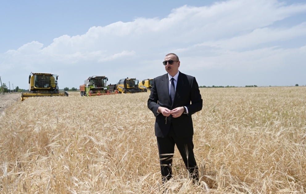 Aghdjabédi: la moisson de blé lancée en présence du président ilham Aliyev VIDEO