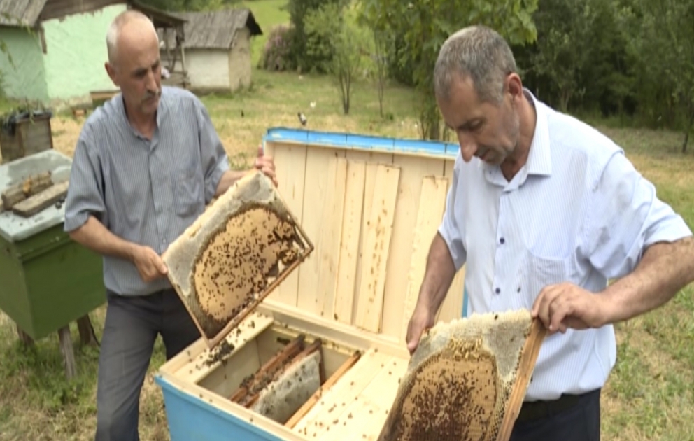 Astaralı arıçının təsərrüfatındakı arı ailələri naməlum səbəbdən kütləvi şəkildə qırılıb VİDEO