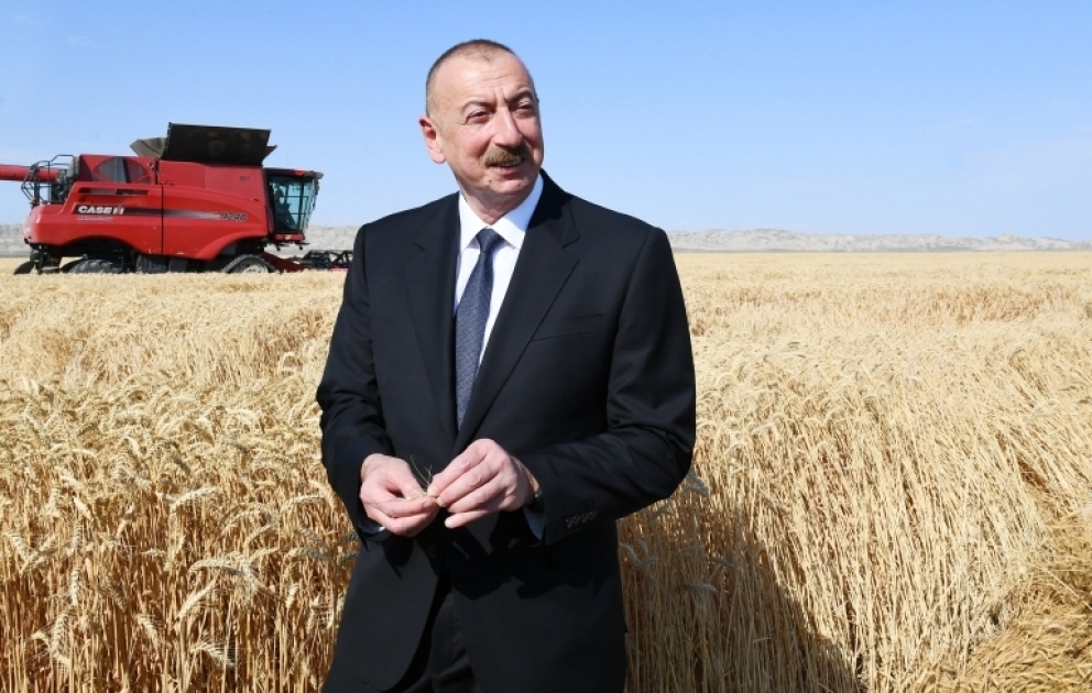 Prezident İlham Əliyev Samuxda “Aqro Dairy” MMC-nin aqroparkının fəaliyyəti ilə tanış olub YENİLƏNİB VİDEO
