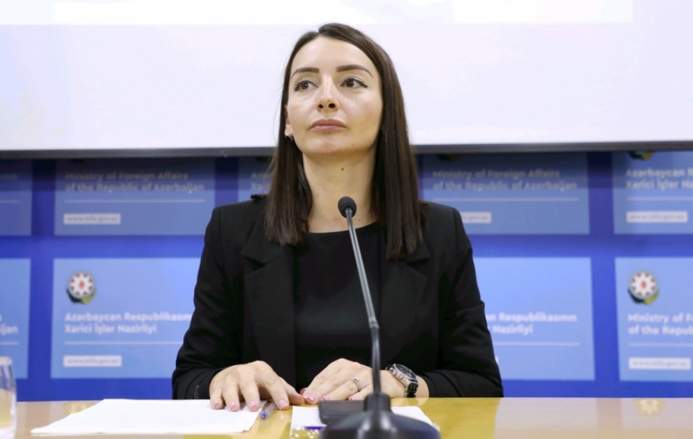 Leyla Abdullayeva: Ermənistan tərəfindən xarici terrorçu qüvvələr və muzdlular Azərbaycana qarşı geniş şəkildə istifadə olunur VİDEO