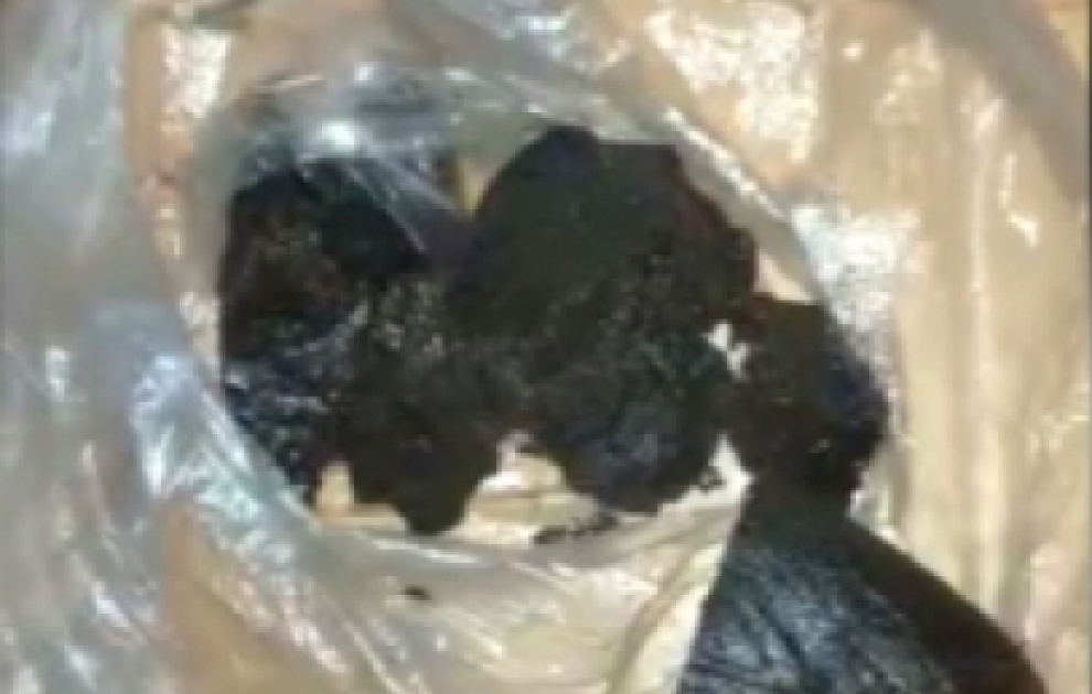 Armenian drug plantation and laboratory found in Fuzuli VIDEO