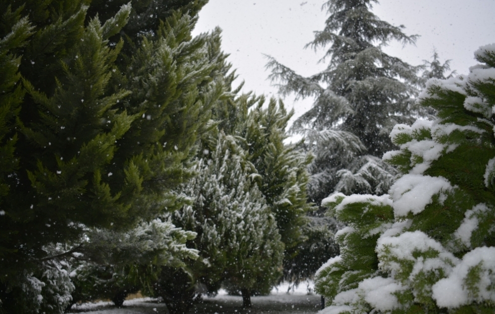 Il neige dans les régions du nord de l'Azerbaïdjan VIDEO