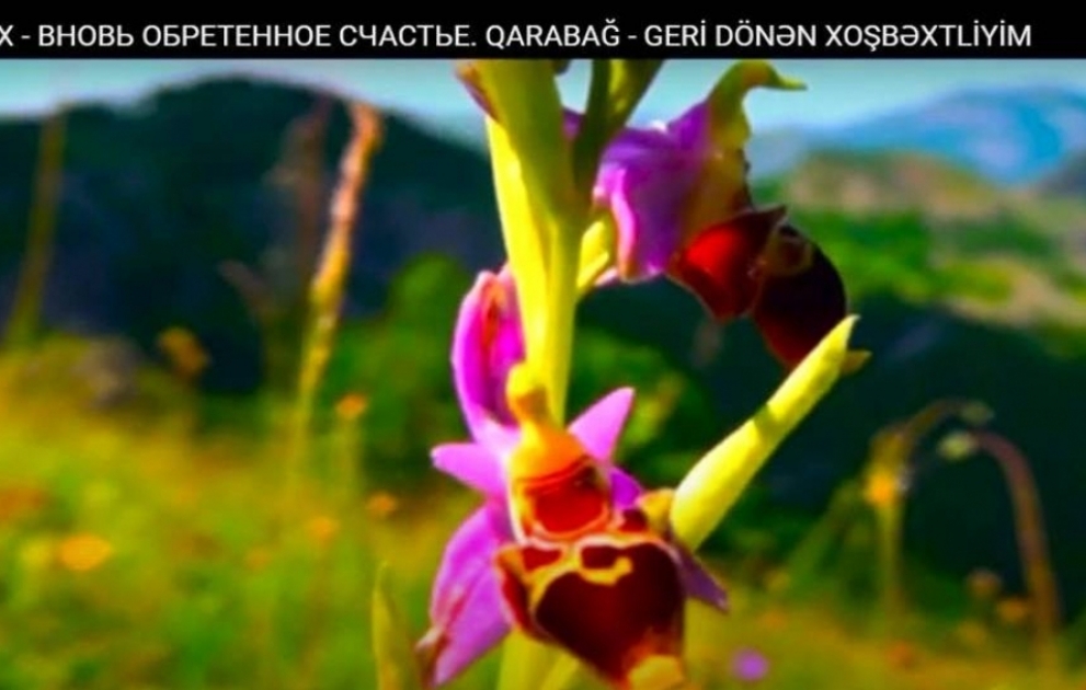 Qazaxıstanda “Qarabağ – geri dönən xoşbəxtliyim” adlı sənədli film çəkilib VİDEO
