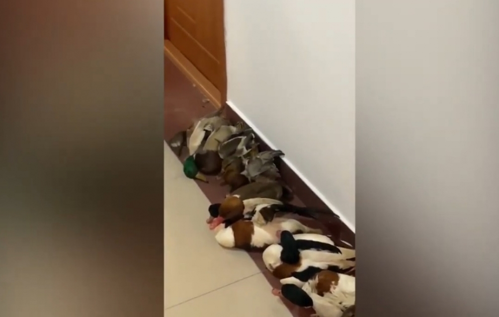 Su polisləri bir neçə uğurlu tədbir keçiriblər VİDEO