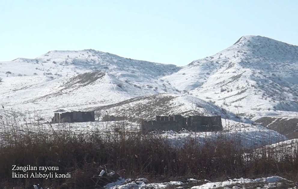 Defense Ministry releases footage of Ikinji Alibeyli village of Zangilan district VIDEO